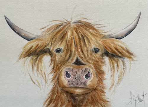 Highland cow original - a3, original(not
