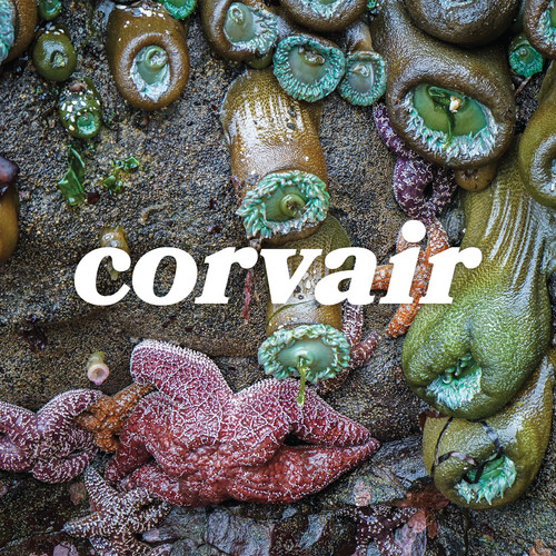 Corvair - corvair,