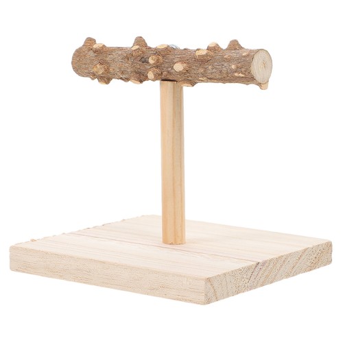 Bird training stand indoor - bird,