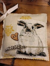 Stunning  lop rabbit /Kate