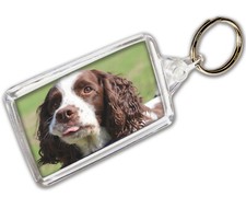 Springer Spaniel Keyring Photo