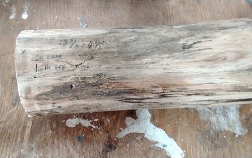 Spalted elm bowl - bowl, blank