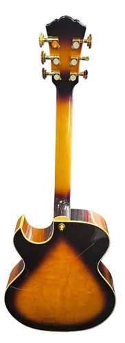 Washburn millennium - washburn,