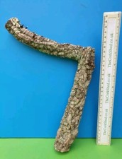 CORK BARK BRANCH 28CM LEOPARD