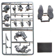 The Old World Bretonnian