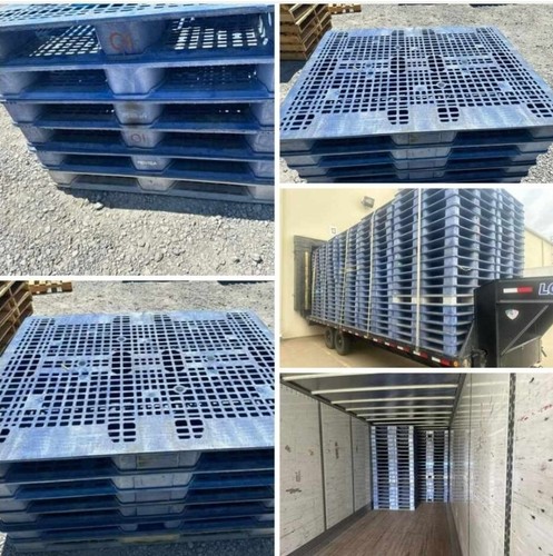 Plastic pallets 56 - pallets, 56"