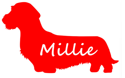 Personalised wire haired - personalised,