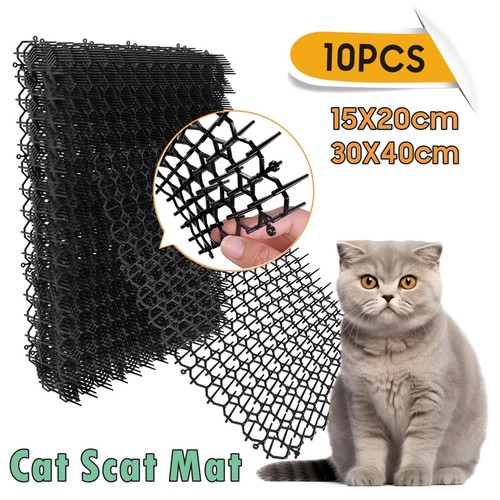 20pcs cat scat - cat, spike