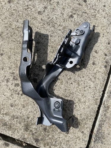 Bonnet hinge driver side - bonnet,
