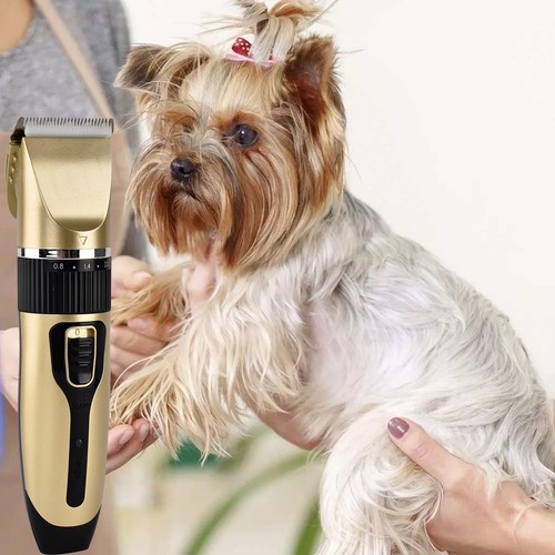 Electric pet cat dog - electric, grooming
