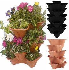 Strawberry Planter Trio