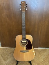 Cort Earth 60 NS dreadnought