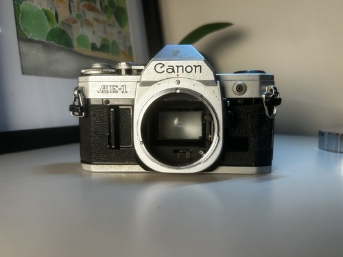 Canon 35mm slr film - canon,