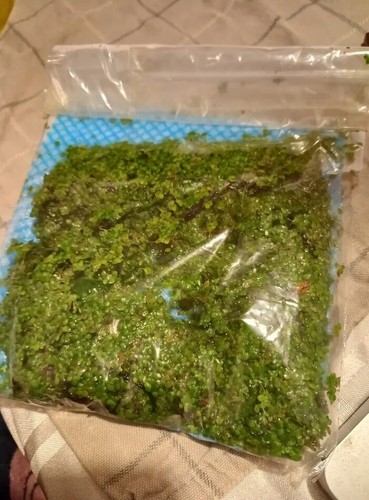 Generous 200g duckweed - 200g,