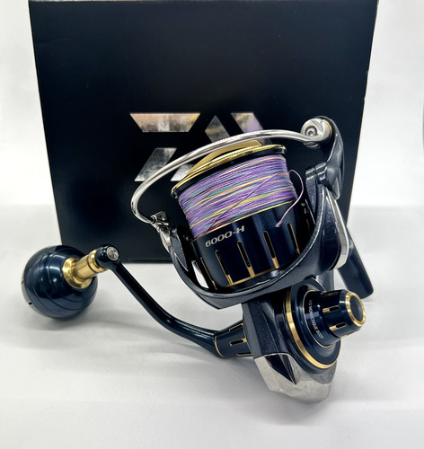 Excellent daiwa 23 saltiga - daiwa,