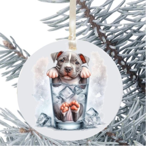 Staffordshire bull terrier - bull,