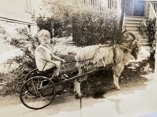 Vtg 1931 smiling billy - vtg,