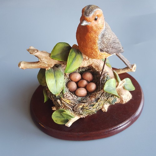Natures kingdom robin - natures,