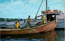 Postcard Fishermen Herring Seiners & Nets Boothbay Harbor  Maine ME         S655