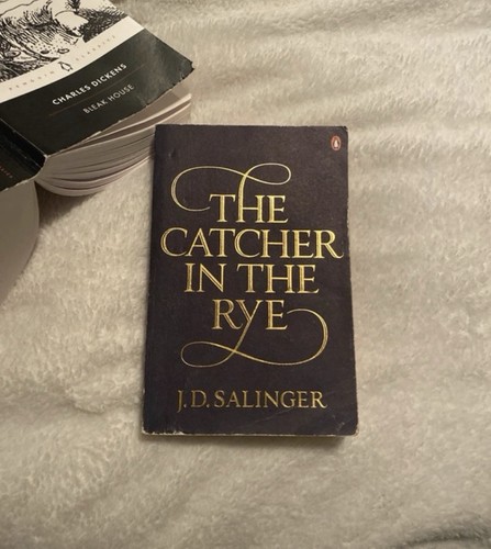 The catcher rye d - the,