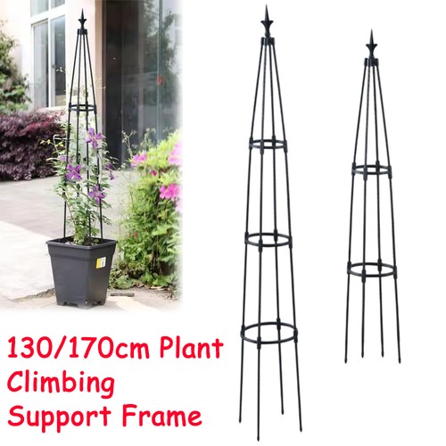 Garden obelisk trellis outdoor - obelisk,