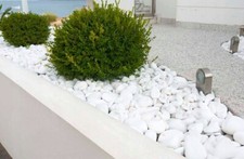 Decorative MARBLE EXTRA WHITE