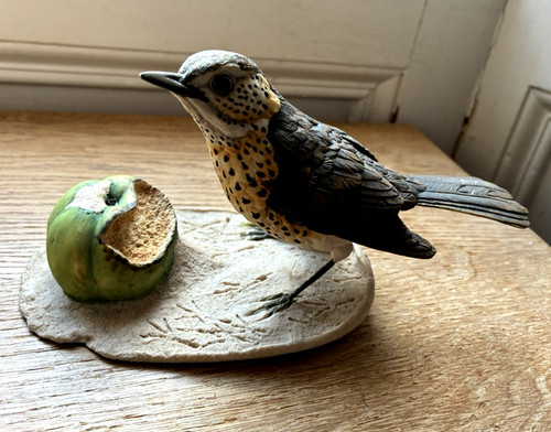 Border fine arts song - song, thrush
