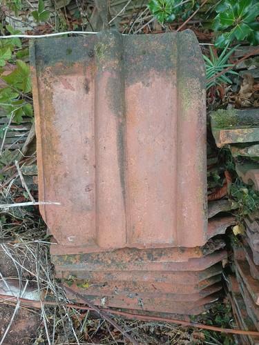 Double roman clay roof tiles - clay,