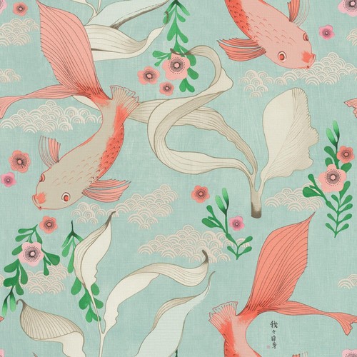 Rasch koi carp fish - koi,