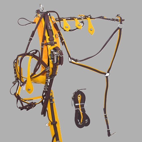 Pvc trotting harness - pvc,