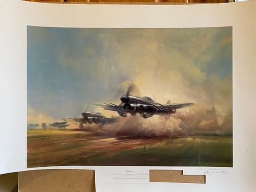 Typhoon aviation art - , print