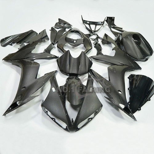 Carbon fiber fairing tank - fairing, +tank