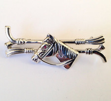 Dressage Pony Horse Racing