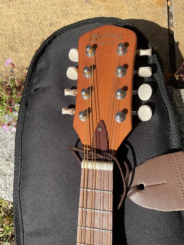 Martin backpacker mandolin - backpacker, mandolin.