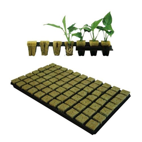 Grodan rockwool tray 36mm - tray,