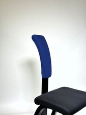 Varier Variable Backrest