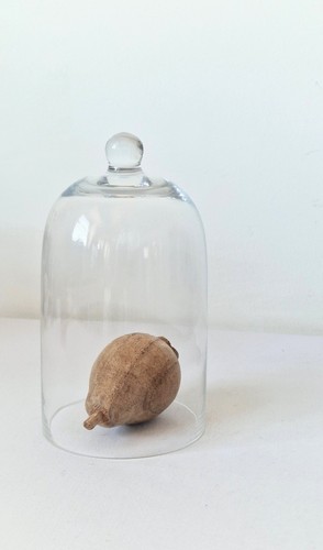 Glass display cloche bell jar - display,