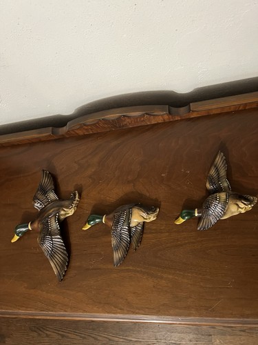 Vtg trio chalkware mallard - trio,