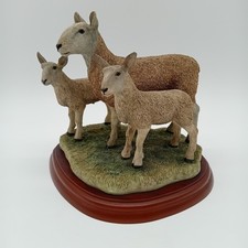 Border Fine Arts -  Blue Faced