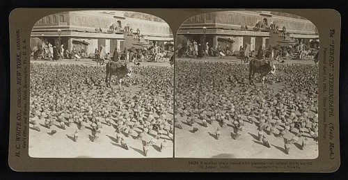 India market place paved - a,