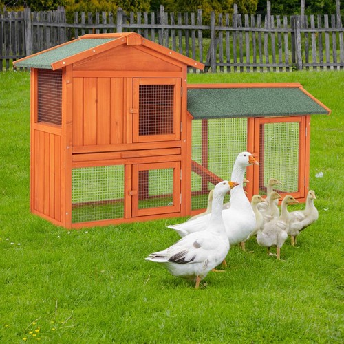 Wooden rabbit hutch - rabbit,