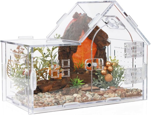 Jumping spider enclosure - spider,