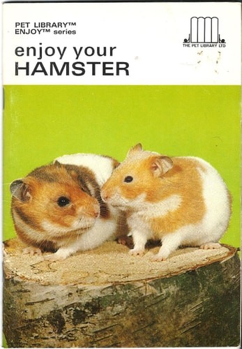 Land hermit crabs - land,