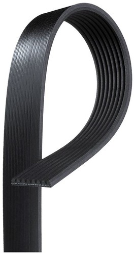 Ribbed belt fits leyland - belt,