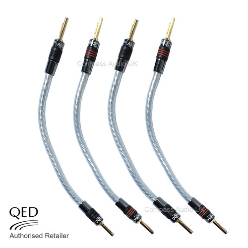 Qed genesis silver spiral - silver,