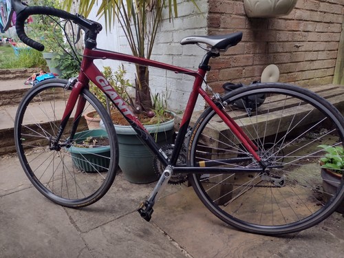 Giant avail ladies - avail, bike
