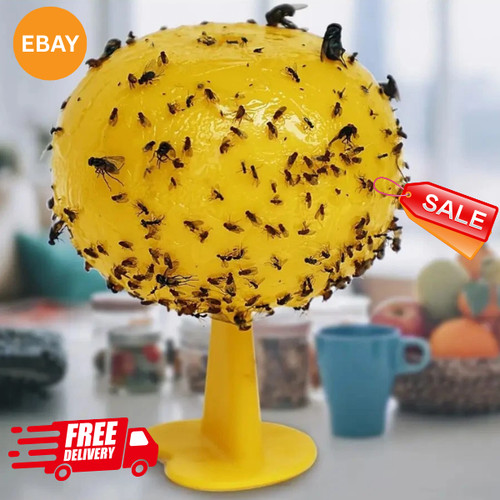 Fruit fly balls ball - fly,