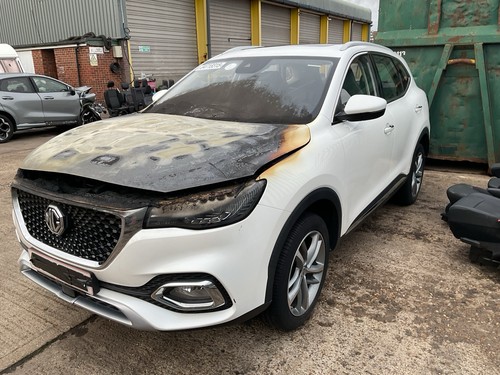 2022 exclusive mk1 white - mg, hs