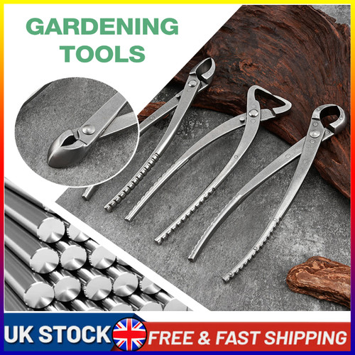 Carbon steel bonsai - bonsai, clipper