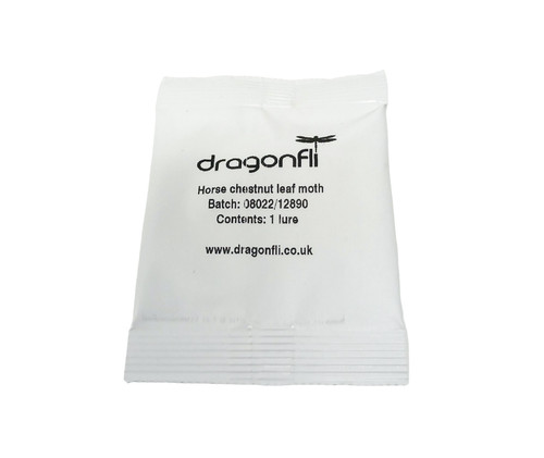 Dragonfli horse chestnut leaf - dragonfli,